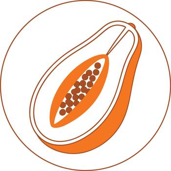 Papaya fruit half with seeds icon in circle vector