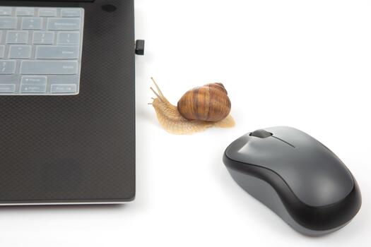 The concept of slow internet and working with a computer. Snail on the background of Internet wires and a computer mouse photo