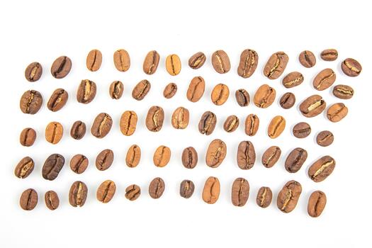 Coffee beans of various types arranged in a neat pattern on a white background photo