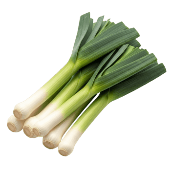 verde e bianca astratto sfondo con sovrapposizione textures e colonne png