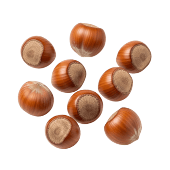 nove Nocciole con visibile interni disposte nel un' griglia modello su un' rosa sfondo png