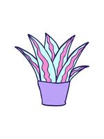 estallar movimiento animación de dibujos animados garabatear casa planta video