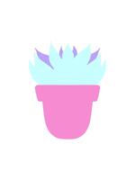 hilado movimiento animación de suculento planta video