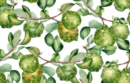 Bergamot fruits on branches seamless pattern isolated on white. Watercolor citrus trees on repeated texture. Hand drawn sprigs and green fruits on botanical background for textile, packaging, wrapping vector