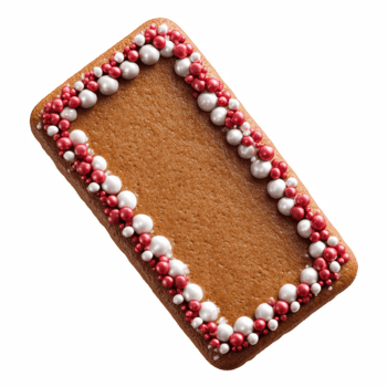 rectangular pan de jengibre Galleta marco con rojo y blanco asperja frontera aislado en transparente antecedentes. png