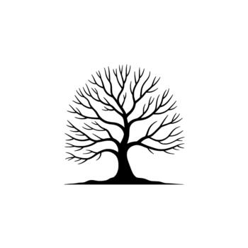 A stark and elegant silhouette of a deciduous tree with intricate bare branches and a solid trunk vector