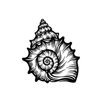 A detailed illustration of a spiraling seashell with prominent ridges and sharp pointed edges isolated vector