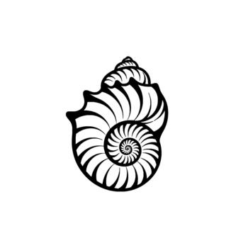 A striking illustration of a nautilus shell showcasing its iconic logarithmic spiral pattern vector