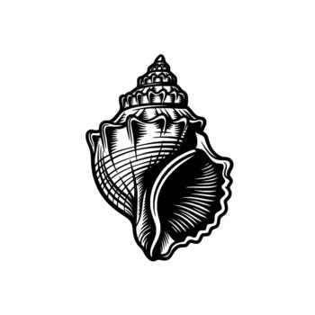 Detailed monochromatic linocut illustration of a spiral seashell with intricate carved texture and a pointed spire isolated vector
