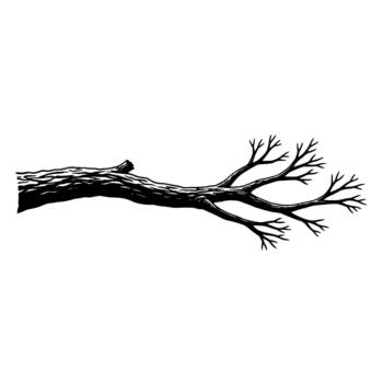 A stark silhouette of a thick deciduous tree branch with multiple bare spindly twigs extending to the right vector