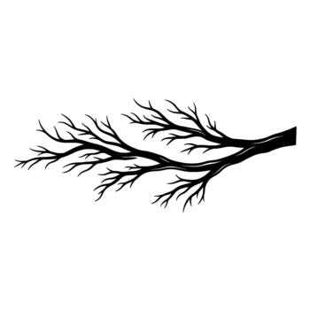 un rígido y elegante silueta de un desnudo árbol rama con intrincado subramas extensión hacia el izquierda vector