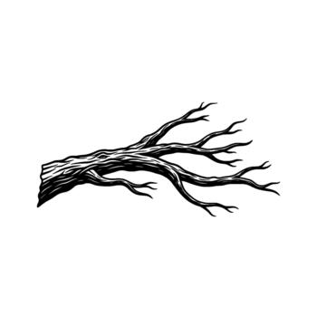 A detailed illustration of a gnarled weathered tree branch with multiple twisting limbs extending outwards vector