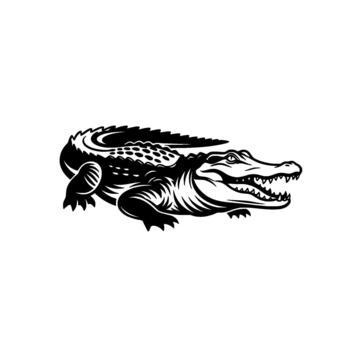 A striking illustration of a fierce alligator with sharp teeth bared and a menacing expression captured in a dynamic pose vector