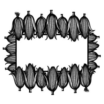 florido rectangular marco compuesto de detallado ilustraciones de maduro maíz mazorcas con cáscaras y borlas vector
