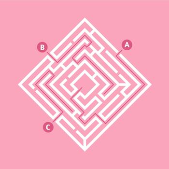 Finding the solution path in a complex maze task vector