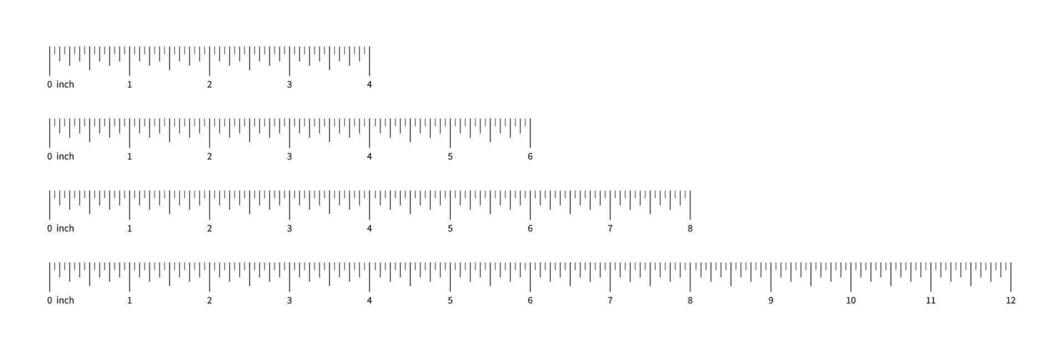 Ruler scale set, measuring chart with 4, 6, 8, 12 inches with numbers. Length measurement distance, height, math. Template of sewing tool. vector