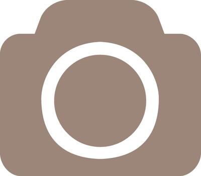 Brown Camera Icon Design Isolated on Transparent Background for Web and App Design vector