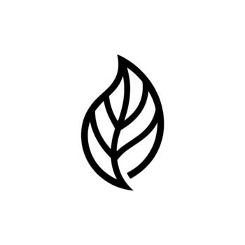 A stylized outline of a single ovate leaf with clear venation and a subtle pointed apex isolated vector