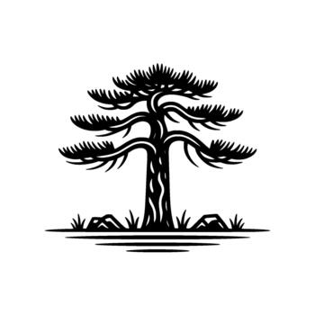 Striking silhouette of an ancient coniferous pine tree with its distinctive layered branches and needle clusters elegantly stylized vector