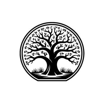 un estilizado silueta de un maduro árbol con expansivo ramas y pequeño hojas adjunto dentro un circular frontera vector