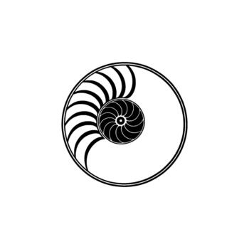A stylized monochrome illustration of a nautilus shell section showcasing its logarithmic spiral internal structure with detailed chambers and a central whorl vector