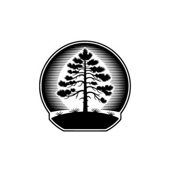 un monocromo silueta ilustración de un alto pino árbol con detallado agujas y ramas adjunto dentro un circular marco presentando horizontal eclosión textura encima un herboso base vector