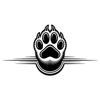 estilizado de un feroz oso pata impresión con agudo garras y radiante líneas aislado vector