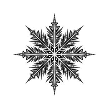 Intricate illustration of a stylized snowflake with sharp points and ornate symmetrical patterns vector