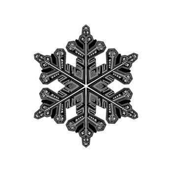 un muy detallado ilustración de un intrincado hexagonal copo de nieve con geométrico patrones y ornamental motivos aislado vector