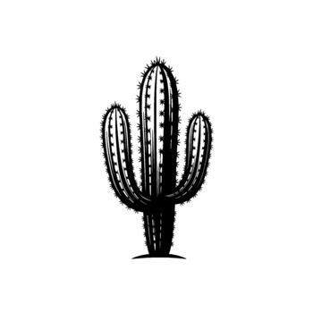 A stark silhouette of a multiarmed saguaro cactus with numerous sharp spines is isolated vector