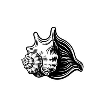 A stark linocut illustration of a detailed queen conch shell with intricate spiral patterns and textured ridges isolated vector