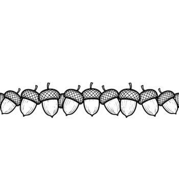A detailed line art illustration of a seamless pattern border composed of multiple acorns with textured caps and ridged bodies isolated vector