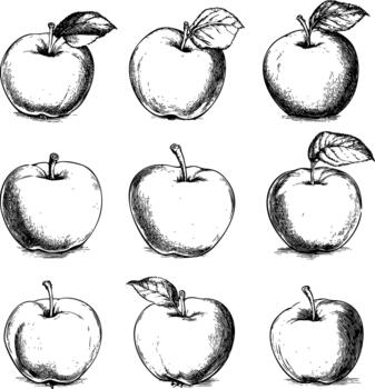 Nine hand-drawn apples arranged in a grid pattern. vector