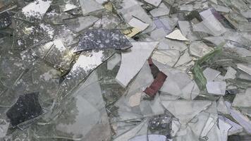 stor lugg av bruten glas skärvor och reflekterande bitar spridd utomhus. fragment reflektera träd och lövverk, skapande en kaotisk och skarp atmosfär. video