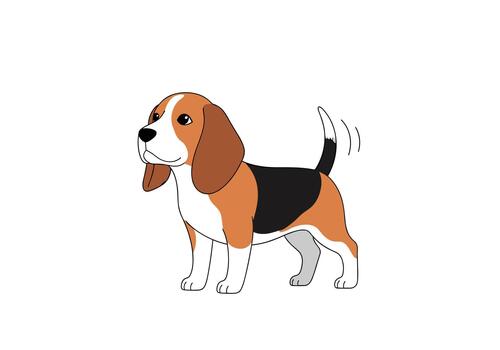 Small beagle dog standing with a wagging tail and an alert expression against a plain white background for pet themed projects. vector