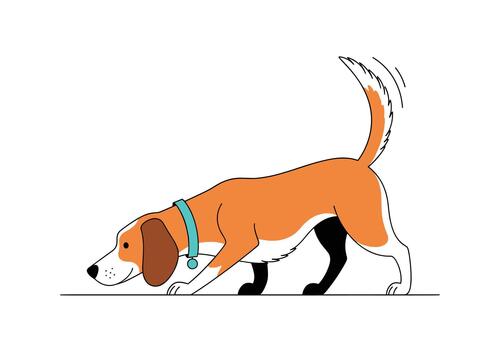 Beagle dog wearing a turquoise collar sniffing the ground with a wagging tail, showing active scent tracking behavior. vector