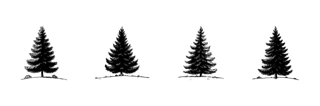 cuatro pino arboles garabatear bosquejo colocar. naturaleza, bosque, y hojas perennes árbol ilustraciones en mano dibujado estilo recopilación. rústico y natural diseño elementos. aislado ilustración vector