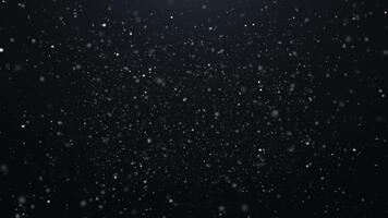 mjuk vit partiklar flyta mot en mörk bakgrund, skapande en lugn, atmosfärisk snöfallsliknande effekt. de subtil rörelse och djup göra den idealisk för vinter- teman, abstrakt bilder, och filmiska video