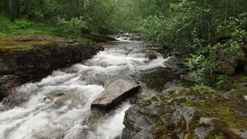 A river running through a forest with rocks and trees video