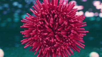 makro skott av röd borstiga objekt roterande i främre suddigt bakgrund video