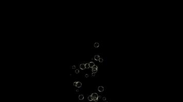 Bubbles rise from bottom in dark background seamless loop animation video