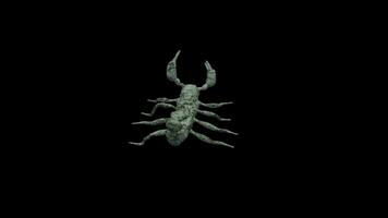 astratto 3d scorpione in movimento animazione ciclo continuo video