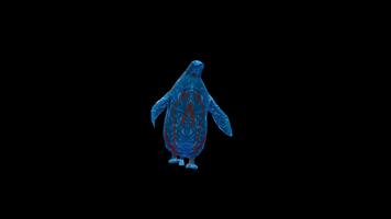 abstrakt 3d pingvin gående animering slinga video
