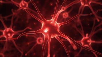 neurale Rete attività - microscopico Visualizza di cervello cellule e sinapsi. video