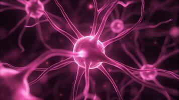 neurale Rete connessioni - un' microscopico Visualizza di cervello cellule. video