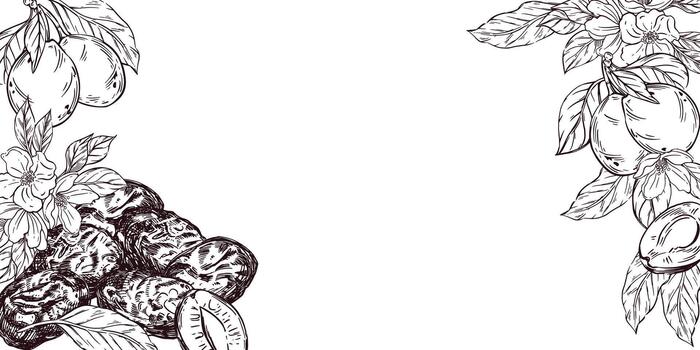 A frame of prunes and plums with leaves, all objects are hand-drawn in . The frame made of fruits and dried fruits is perfect for printing on food packaging, textiles, for design vector