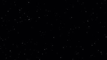 sneeuw deeltjes drijvend in de lucht tegen een zwart achtergrond creëren een subtiel etherisch effect. video