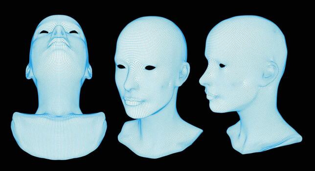 3D wireframe human face model vector