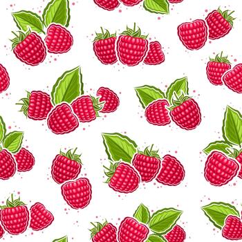 Raspberry Seamless Pattern on white vector