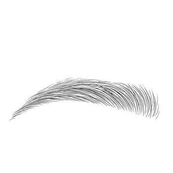 realista ceja dibujo vector